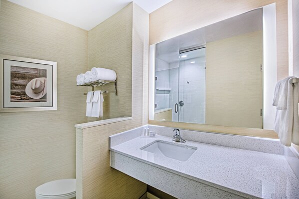 A modern bathroom with a large sink, a mirror, and a framed picture on the wall.