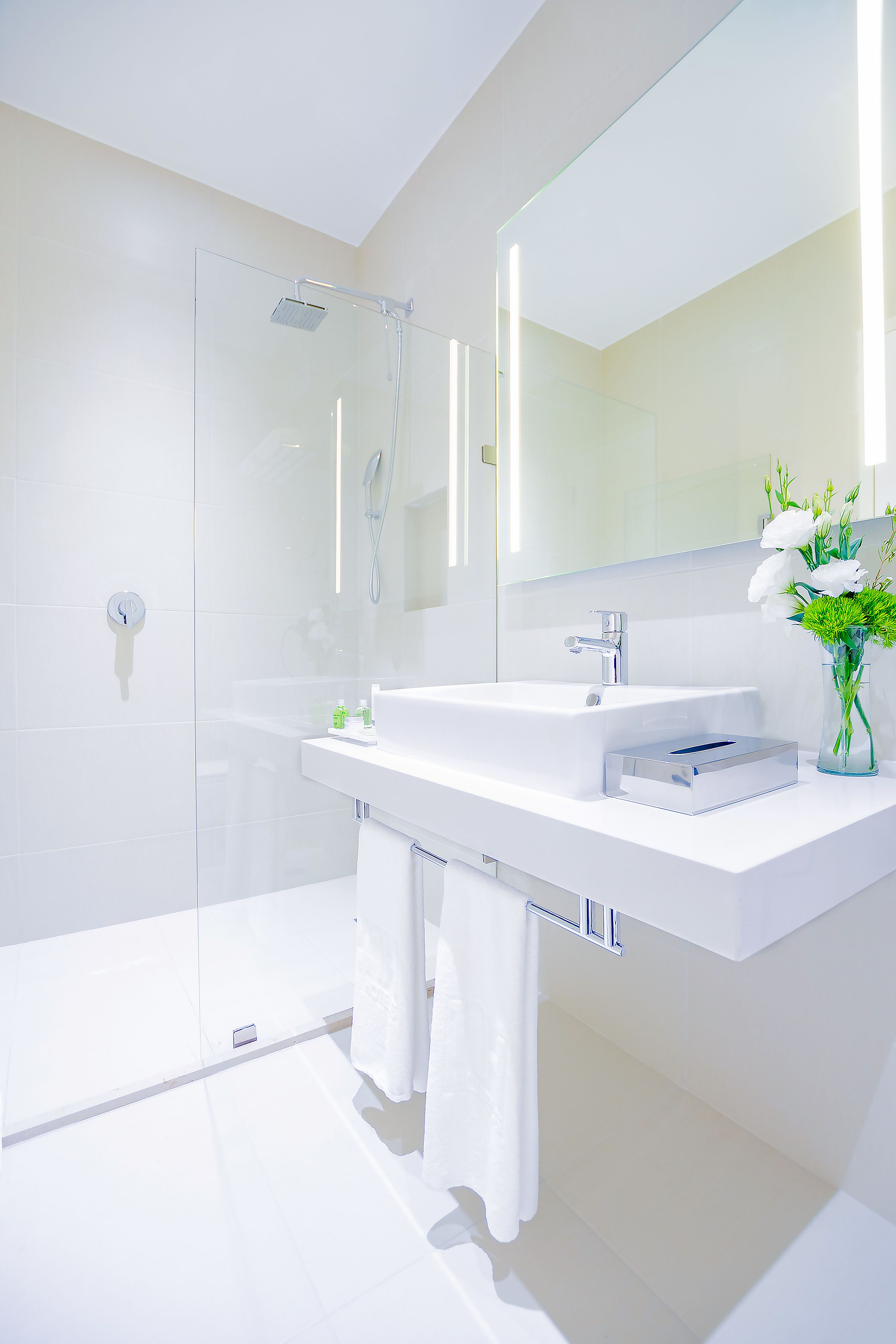 Shower, rainfall showerhead, eco-friendly toiletries, hair dryer