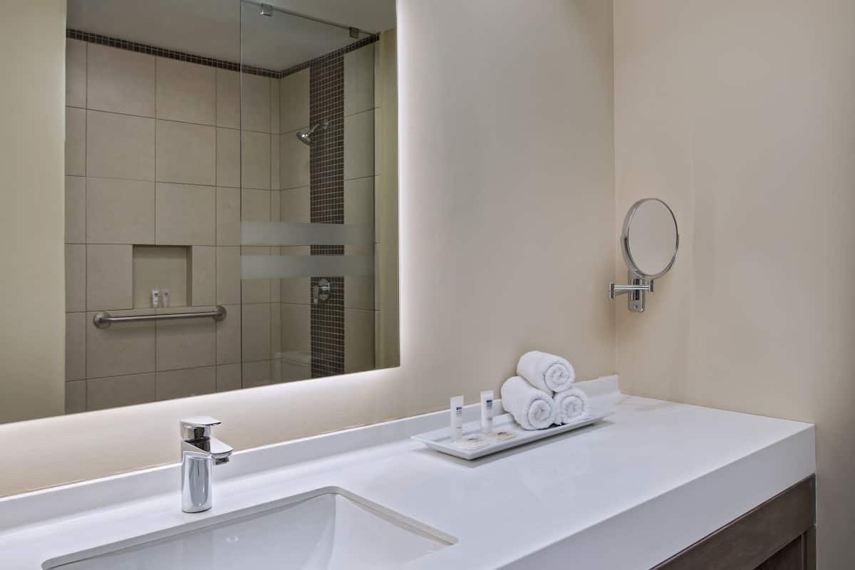 shower, free toiletries, hair dryer, towels