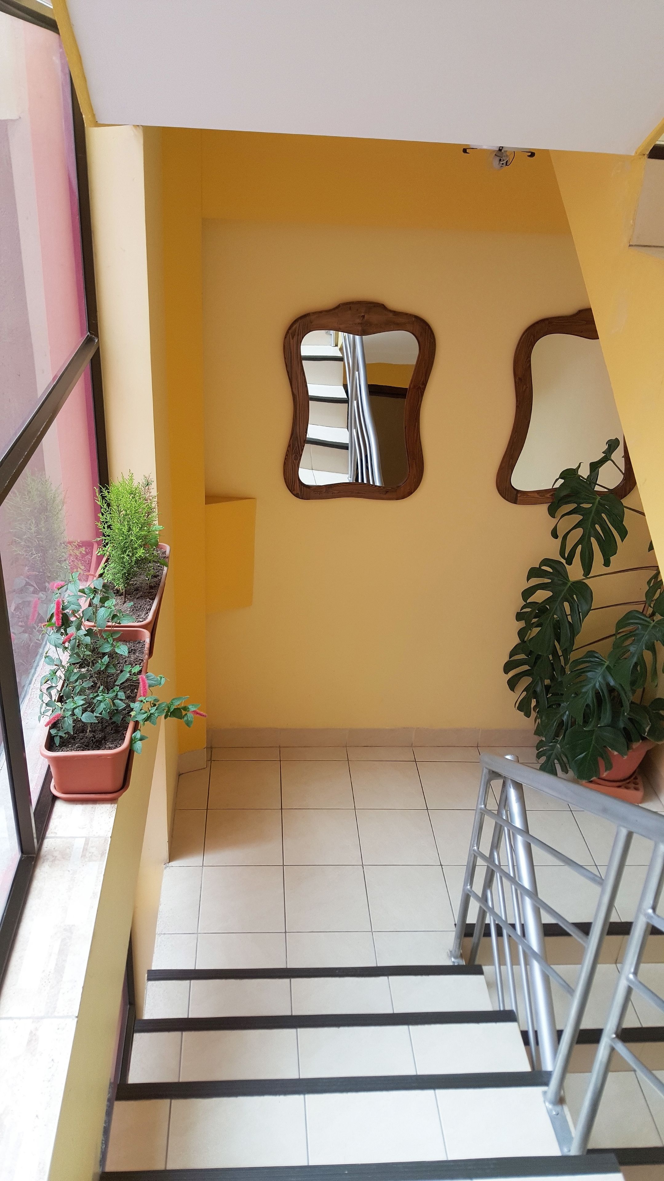 Photo - Hotel Nuevo Sol