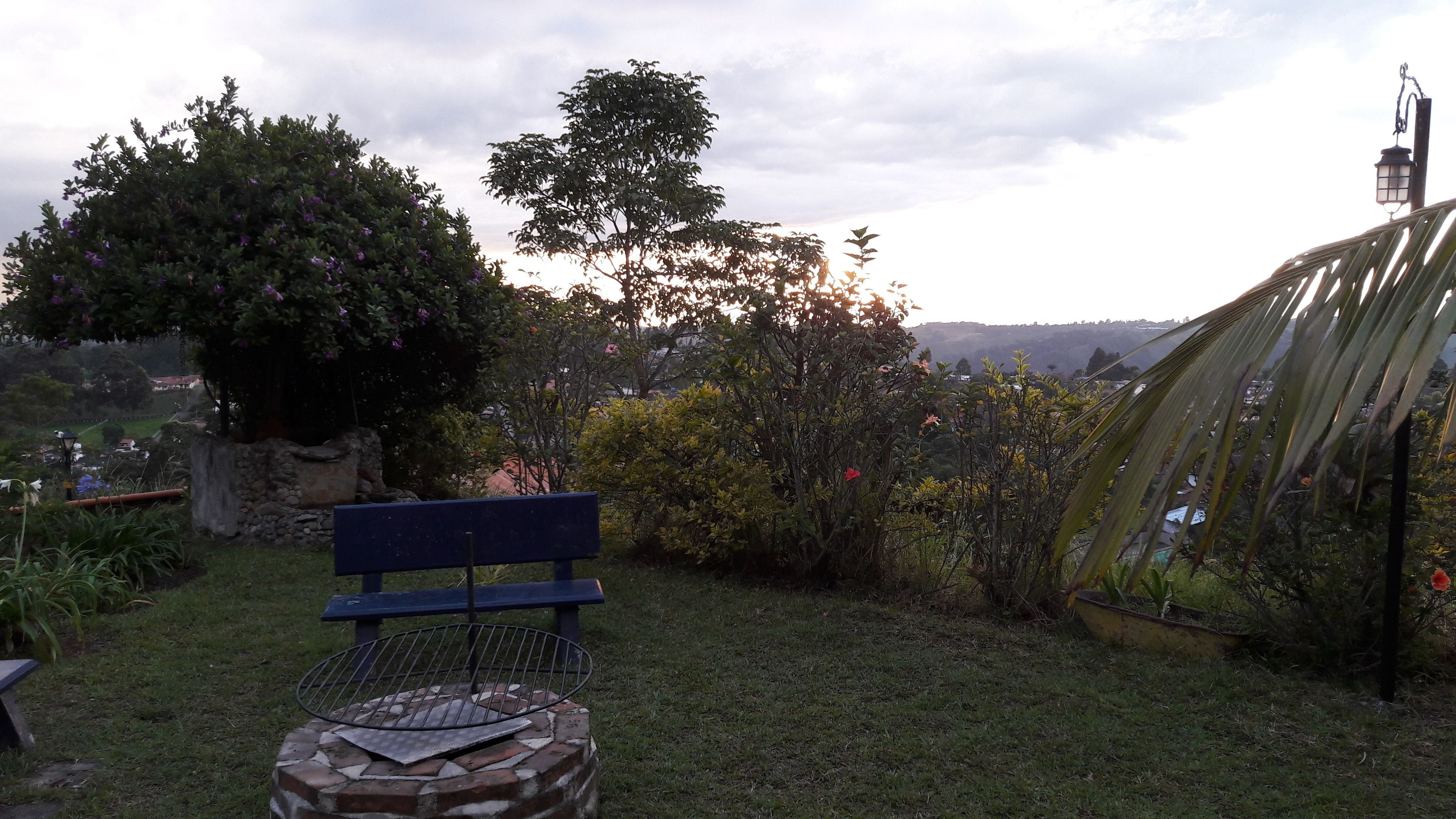 A garden with a bench, a grill, and various plants.