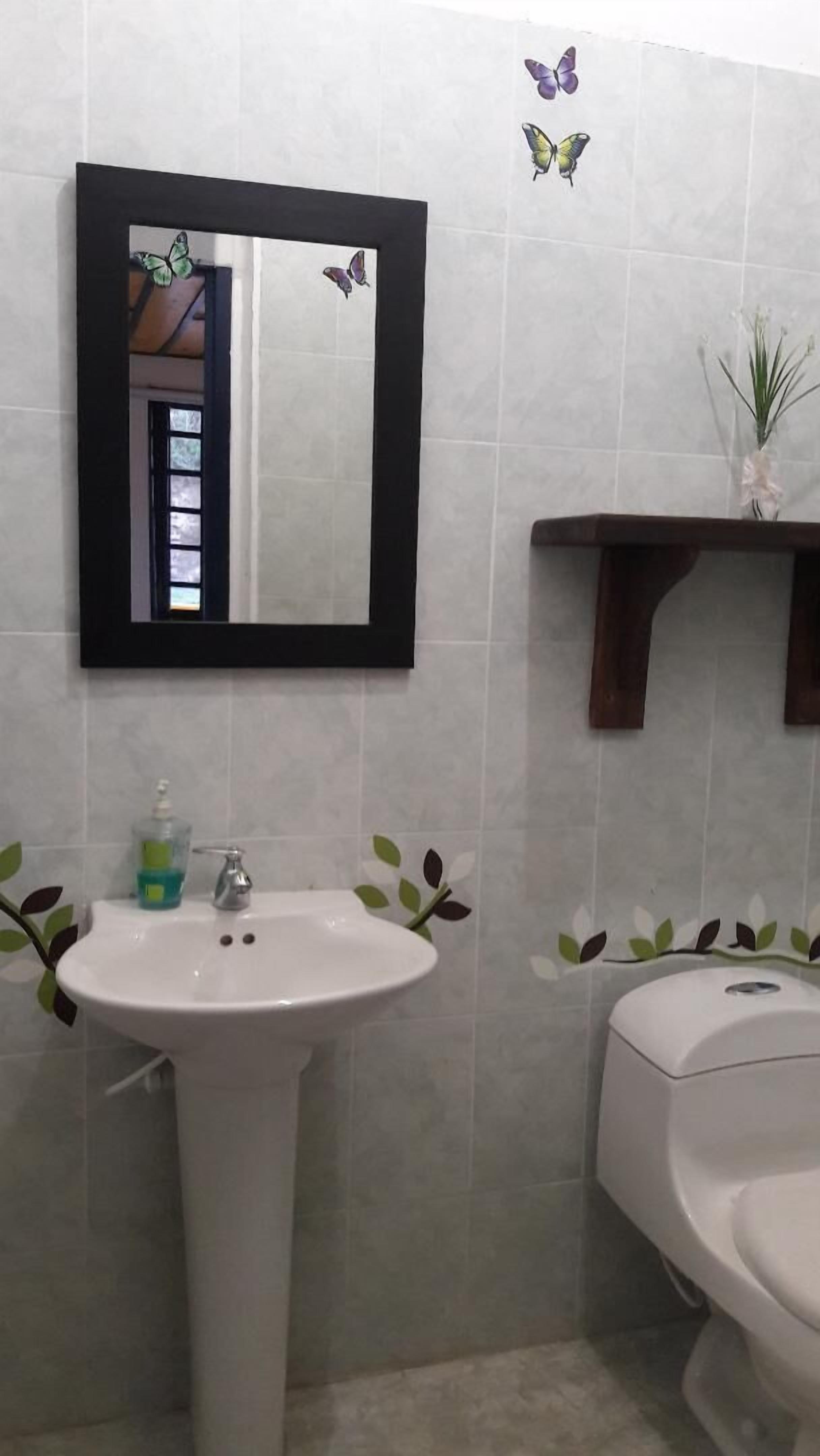 A bathroom with a pedestal sink, a mirror, and a toilet. There are decorative butterflies on the wall and a small plant on a shelf.