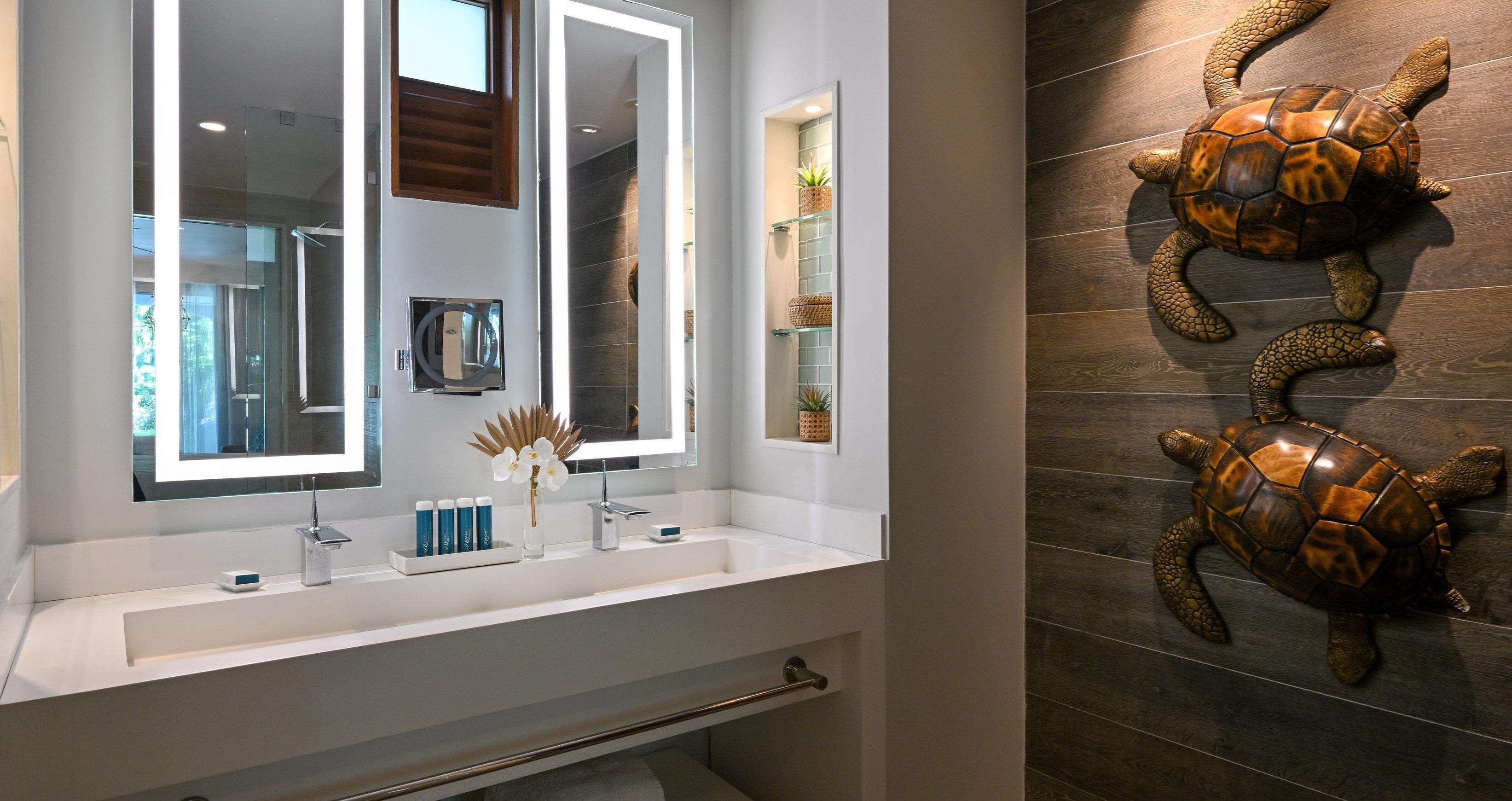 A bathroom with a white sink, a mirror, and a decorative turtle sculpture on the wall.