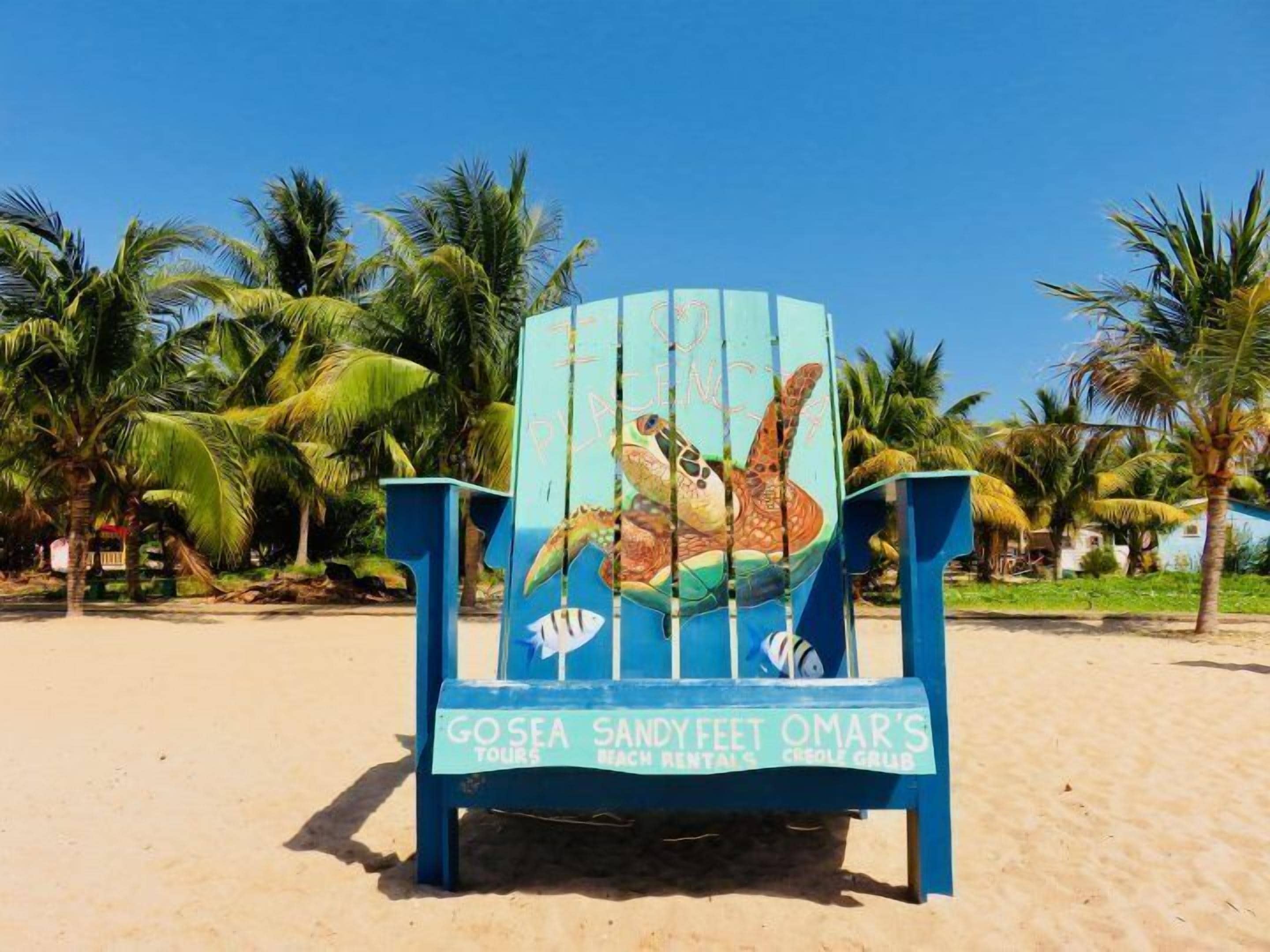 Een strandstoel met een ontwerp van een schildpad en vis, voorzien van de tekst 'Gosea Sandyfeet Omar's Tours, Beach Rentals, Creol Grub'.