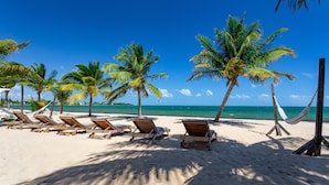 Una playa con sillones de madera, palmeras y una hamaca.