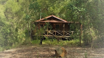 Escape to a serene cabin nestled among lush forest surroundings, featuring a small pond and tranquil atmosphere.