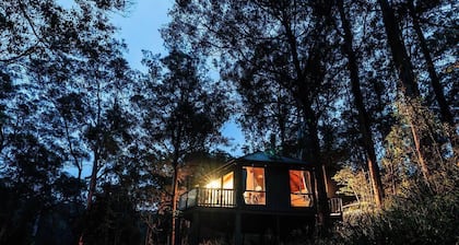 Bluegums Cabins Barrington Tops