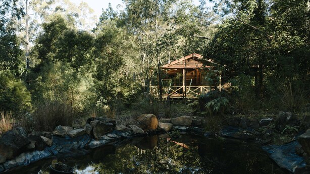 A wooden cabin surrounded by dense forest, a small pond with rocks, and a clear reflection in the water.