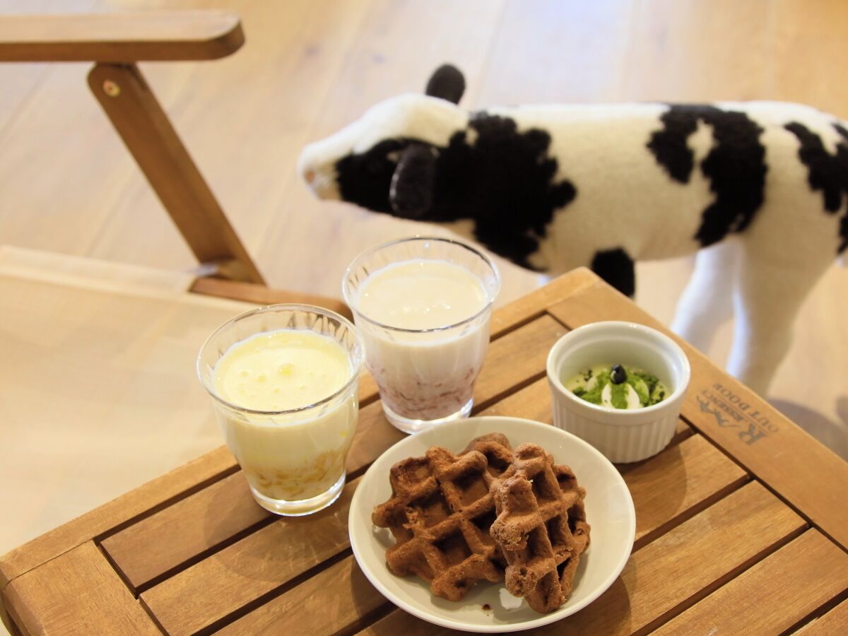 Une table avec des gaufres, deux verres de lait et un petit bol de garniture verte, avec un chien en arrière-plan.