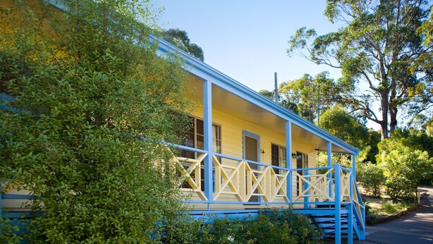 A yellow building with a blue porch and steps, surrounded by greenery. - Springview (Hepburn Springs)