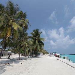 On the beach, scuba diving