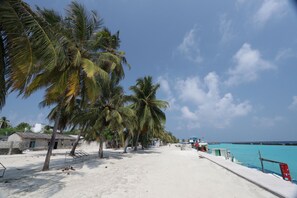 A beach with palm trees, a sandy shore, and a building in the background.
