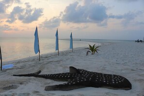 On the beach, scuba diving - Scuba Inn (Omadhoo)