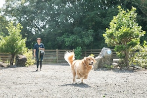 Pet-friendly amenities