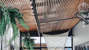 Un espace extérieur moderne, aménagé pour se détendre, avec un plafond en bois, de grands pots de plantes et une décoration sur le thème du surf.