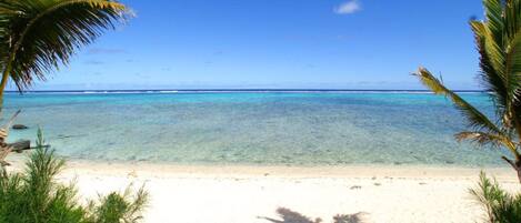 On the beach, snorkeling, kayaking