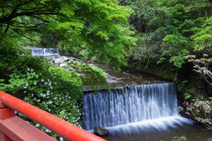 傳統客房 (Japanese Style) | 客房景觀