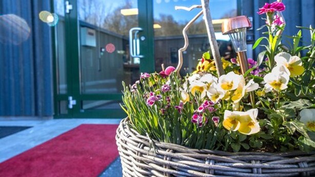 A wicker basket filled with various flowers and a small lamp on a red carpet outside a building with a glass door. - Hotell Eken (Kållered)