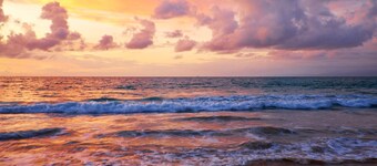 FOX Lite Royal Bay Makassar