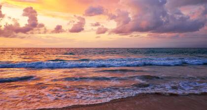 FOX Lite Royal Bay Makassar