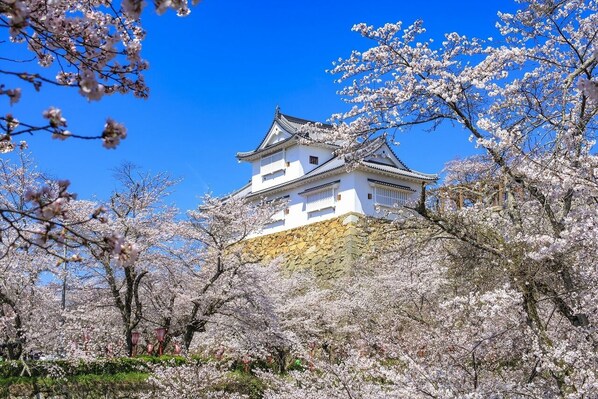 A traditional Japanese castle surrounded by cherry blossom trees. - Yunogo Onsen HOTEL YUNOMORI (Mimasaka)