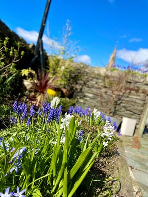 Vista dalla struttura