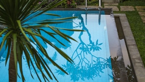 A swimming pool with a tiled edge, surrounded by a grassy area and a palm tree. - Murni's Villa Ligondi (Ubud)