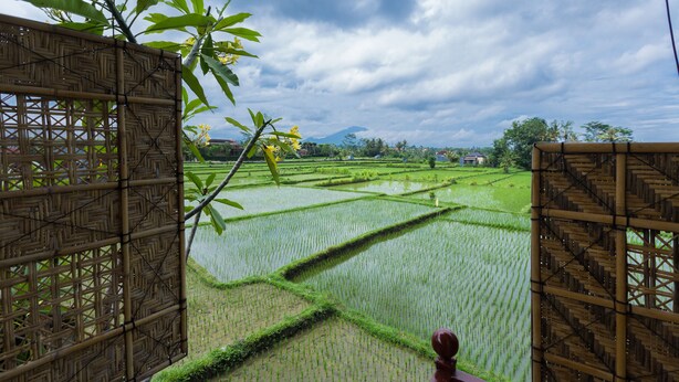 A view of terraced rice fields through a bamboo gate. - Murni's Villa Ligondi (Ubud)