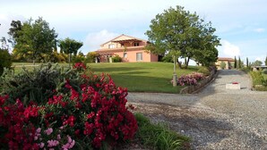 A house with a sloped roof, surrounded by a well-maintained lawn and flowering plants.