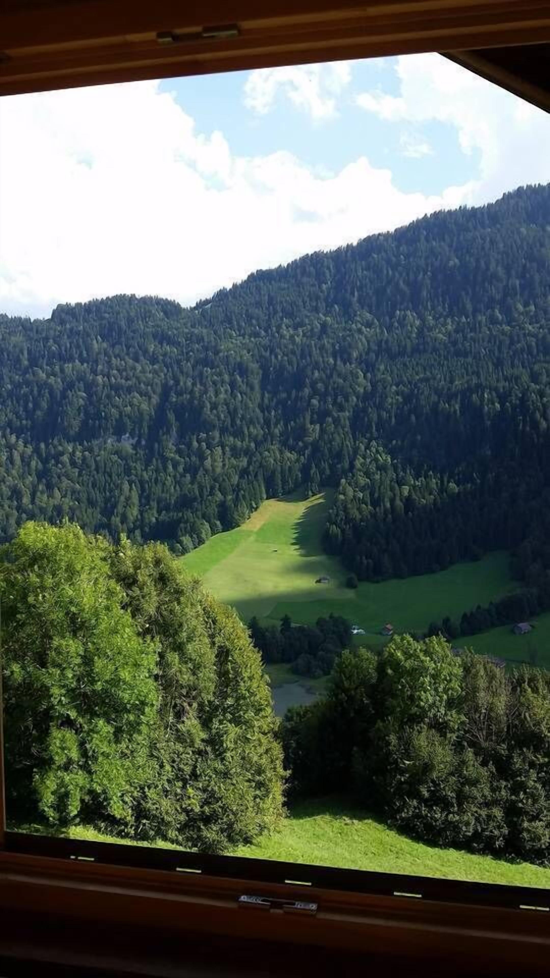 木屋, 4 間臥室, 露台, 山景 | 客房景觀