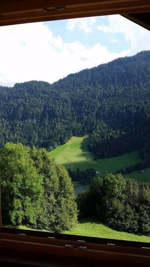 Chalet, 4 Bedrooms, Terrace, Mountain View | View from room - Heidi Chalet - Panoramic View (Rossiniere)
