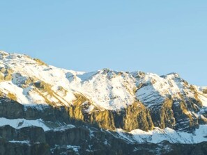 Chalet, 5 Bedrooms, Terrace, Mountain View | View from room