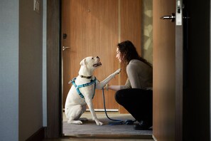 Ropa de cama de alta calidad y cubrecamas 