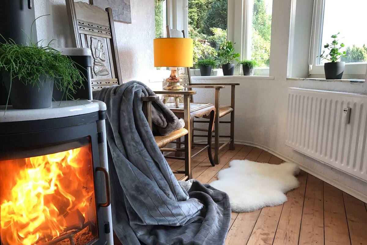 A cozy room with a wood-burning stove, a table with a lamp, and several potted plants by the window.