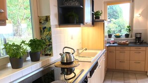 Una cocina moderna con estufa, horno, fregadero y plantas en macetas.