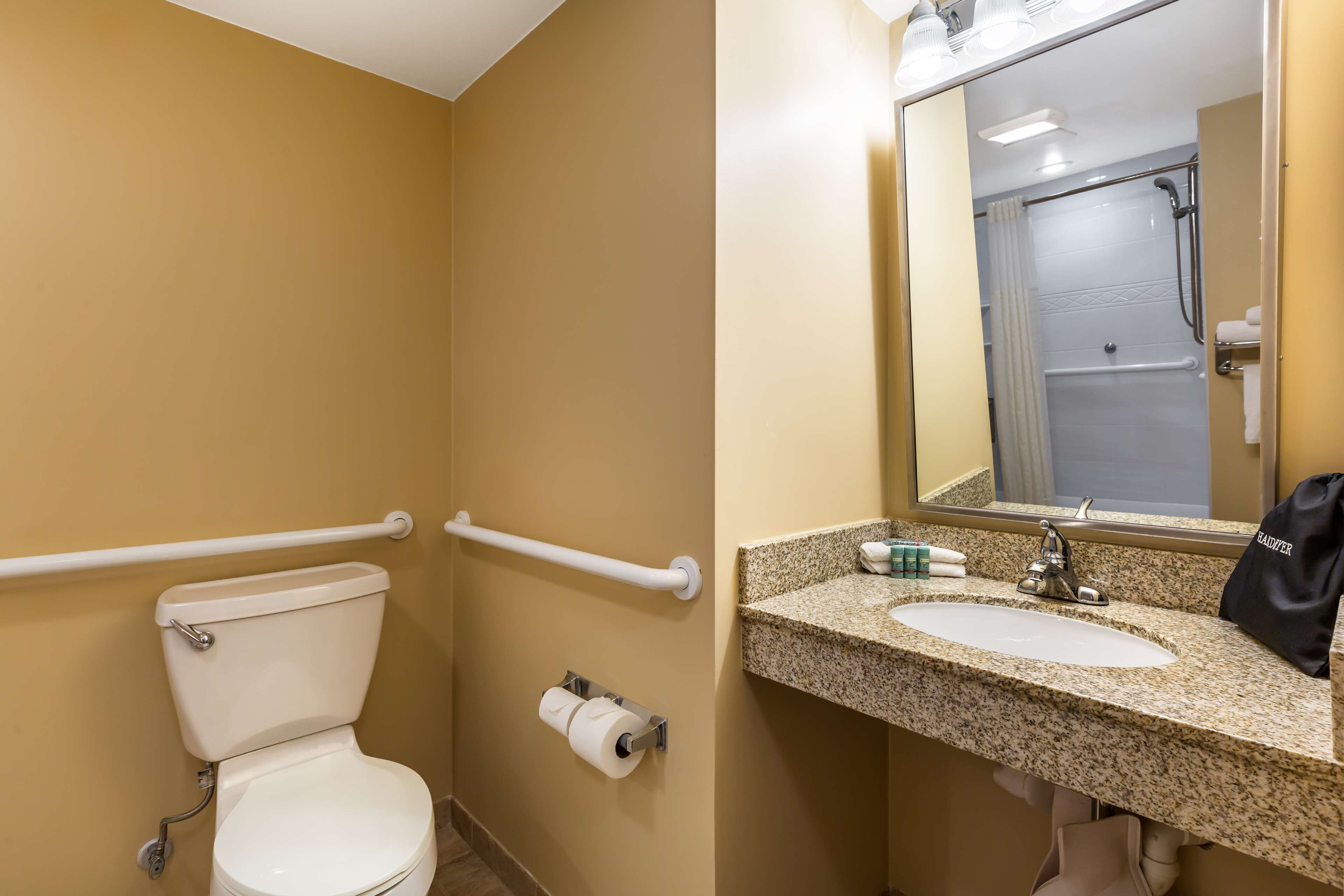 standard room, 1 queen bed, accessible, non smoking | bathroom | shower, free toiletries, hair dryer, towels