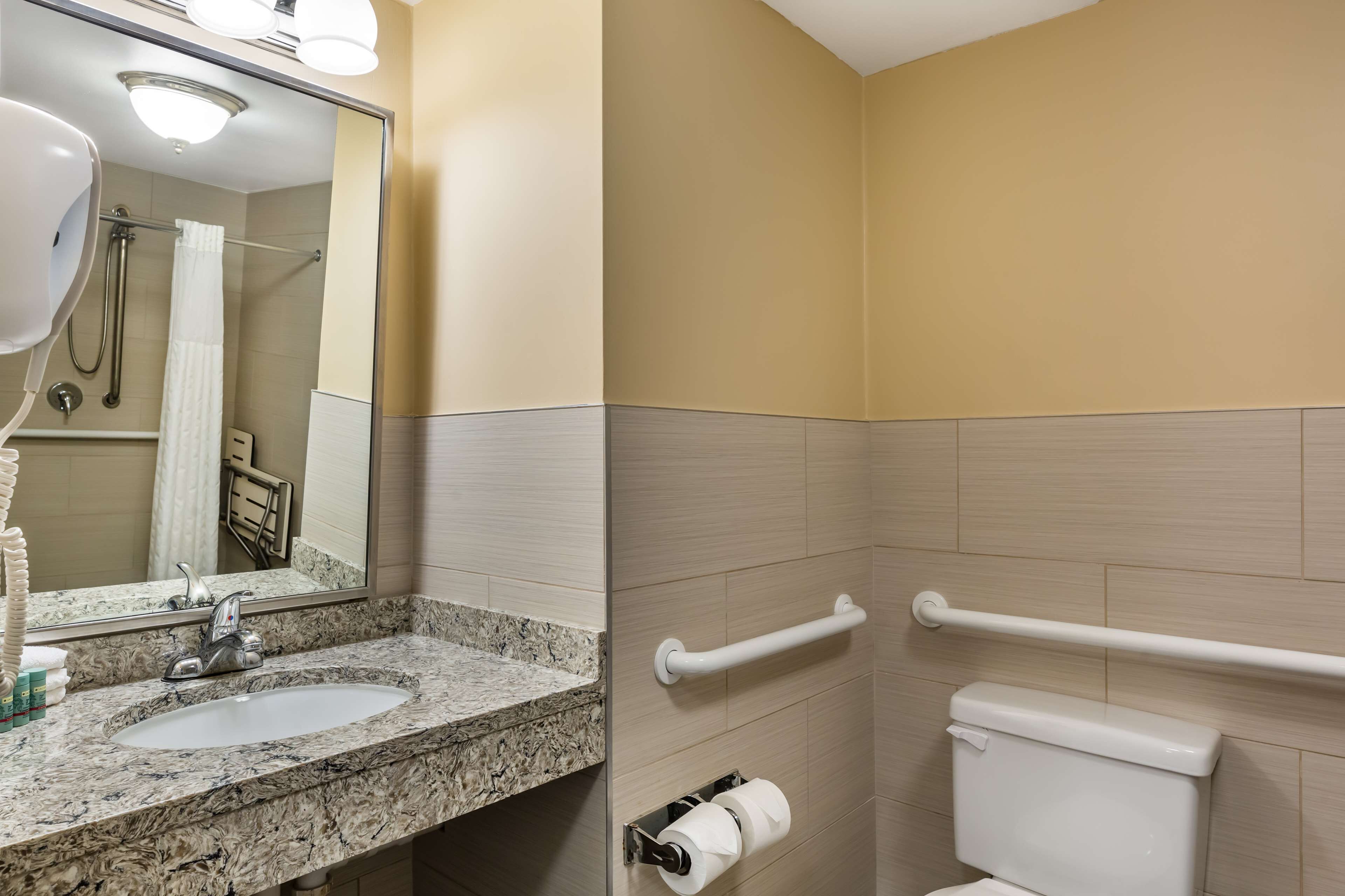 standard room, 1 double bed, accessible, non smoking | bathroom | shower, free toiletries, hair dryer, towels