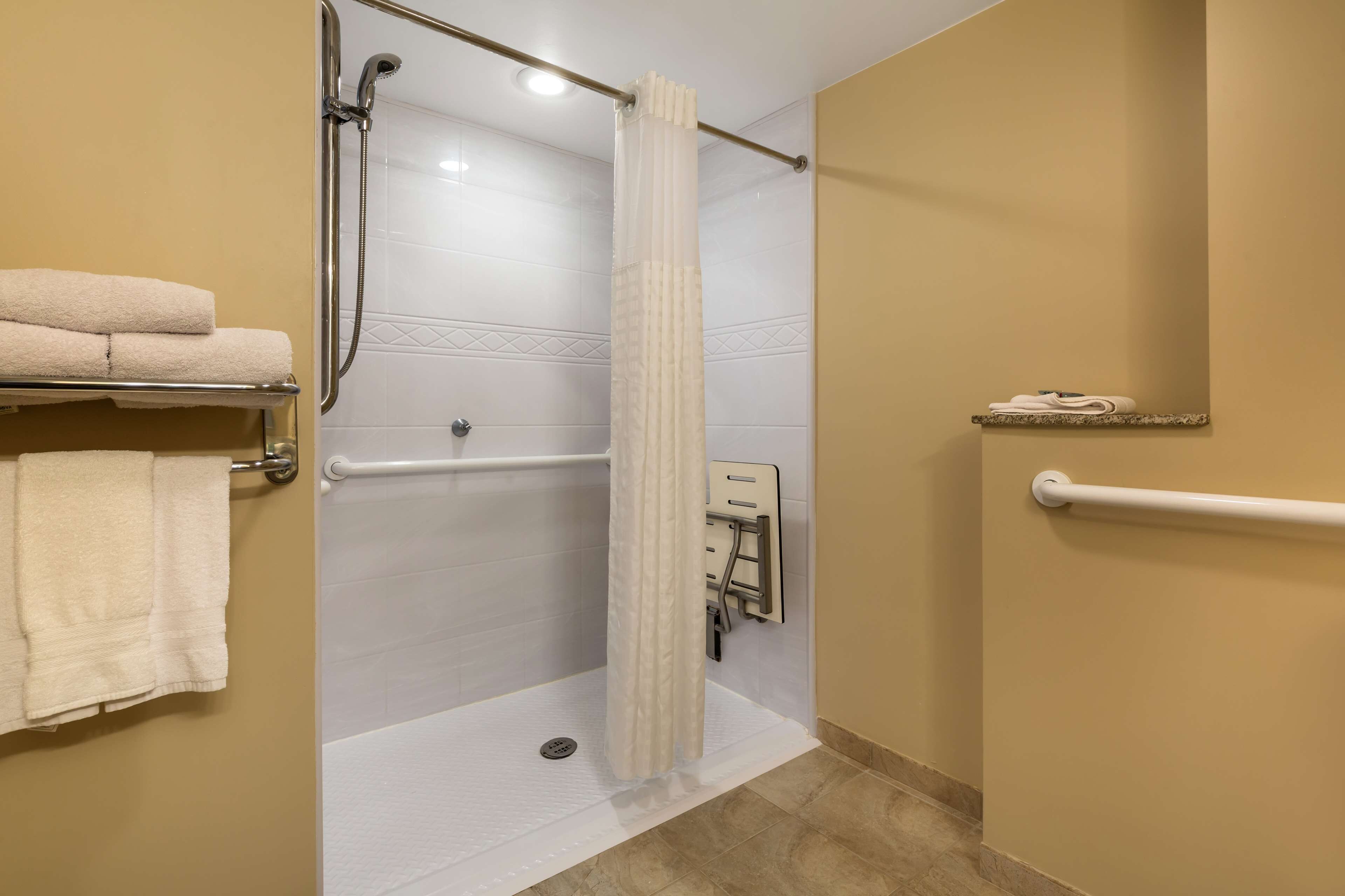 Een badkamer met een douche, handgrepen, een handdoekrek en een handdroger.