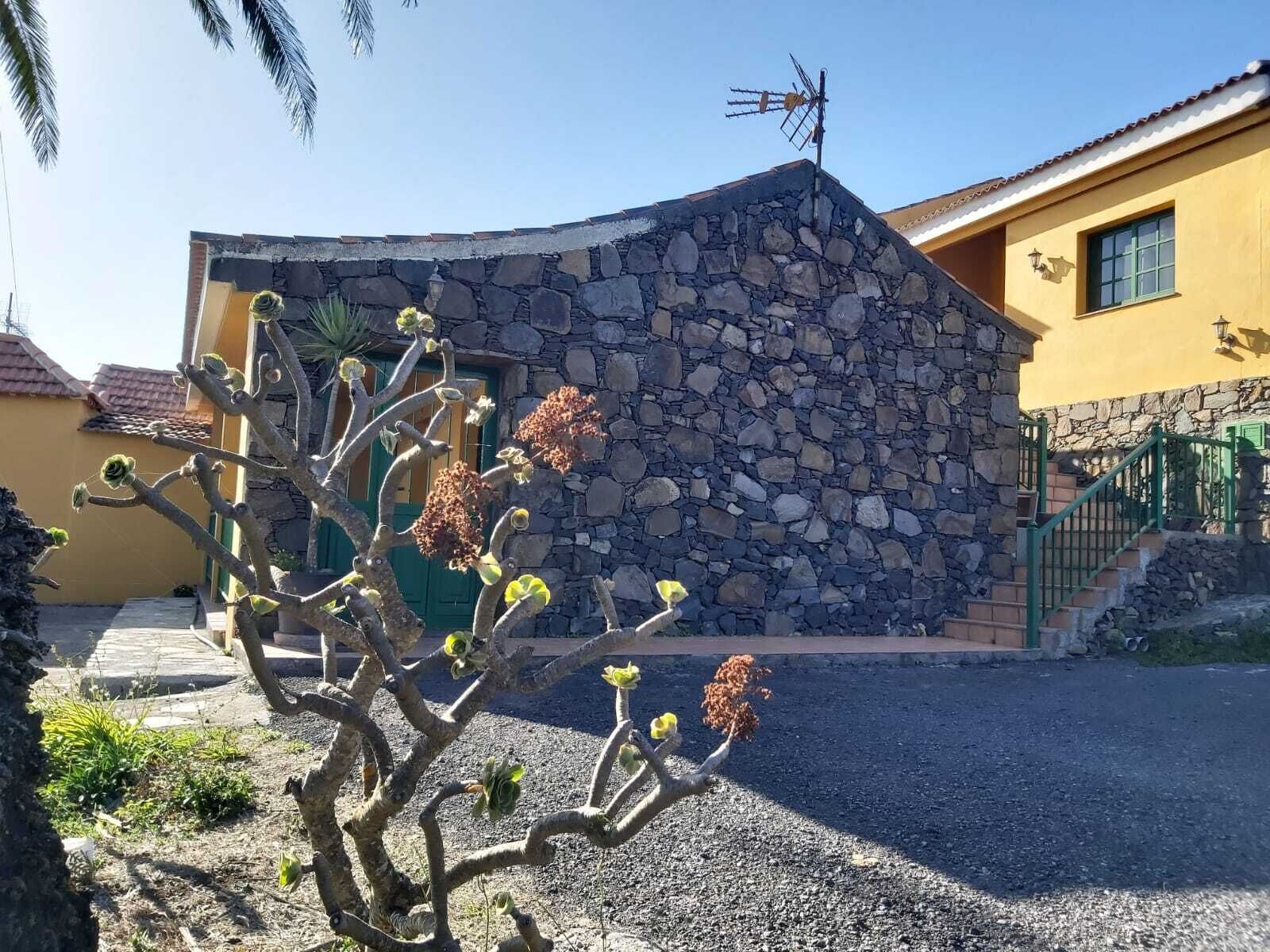 Un edificio con fachada de piedra, una escalera verde y un cactus al frente.