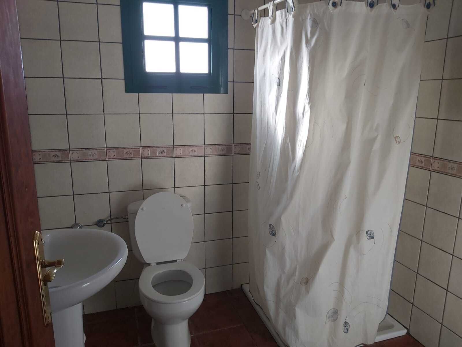 A bathroom with a toilet, sink, and shower curtain.
