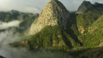 Un paisaje montañoso con terreno accidentado y vegetación verde densa.