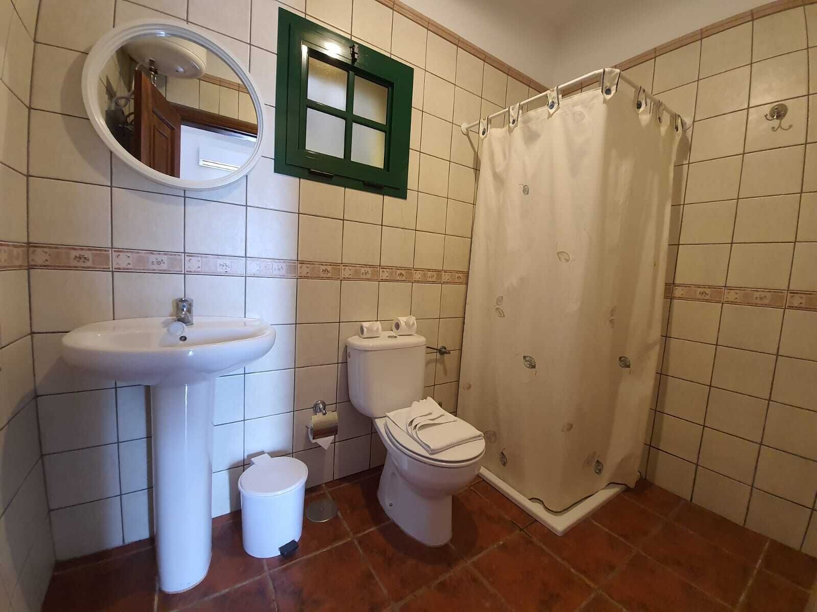 Une salle de bain avec un lavabo, des toilettes et un rideau de douche.