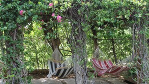 A hammock under a vine-covered pergola in a garden setting. - Casa Mallen - La Boquita (Diriamba)