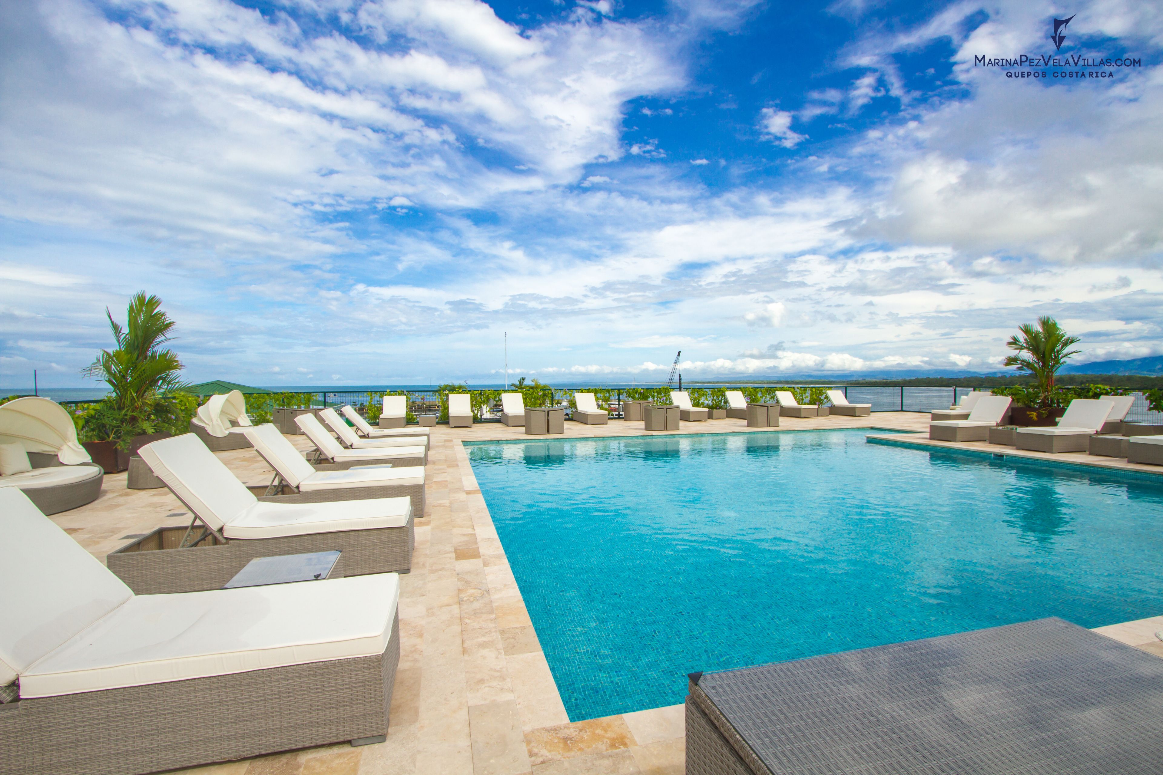 Outdoor pool, pool umbrellas, pool loungers