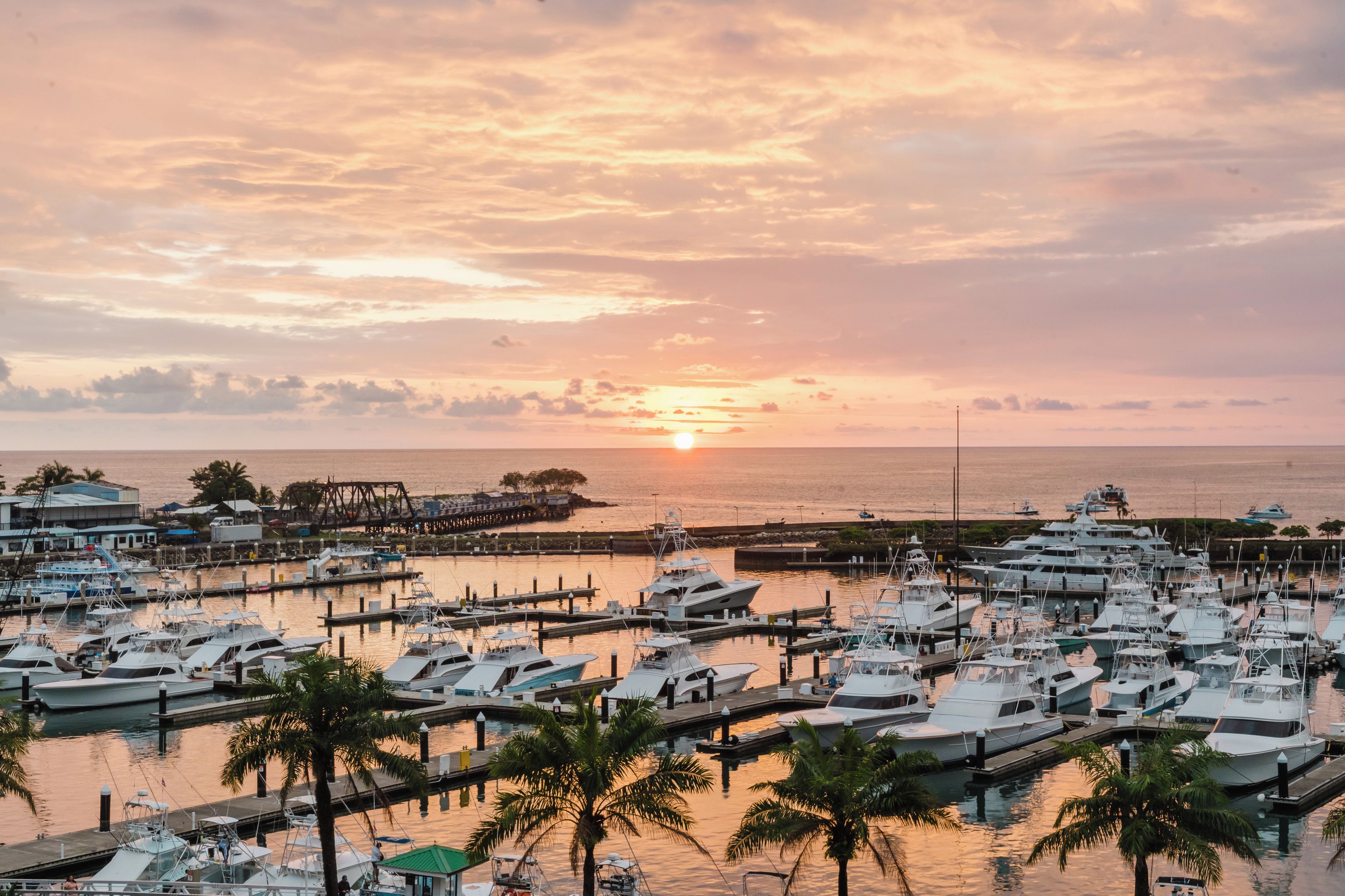 Un port de plaisance avec des bateaux amarrés, un coucher de soleil en arrière-plan et des palmiers.