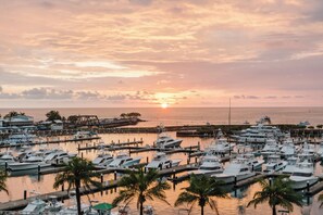 A marina with boats docked, a sunset in the background, and palm trees.
