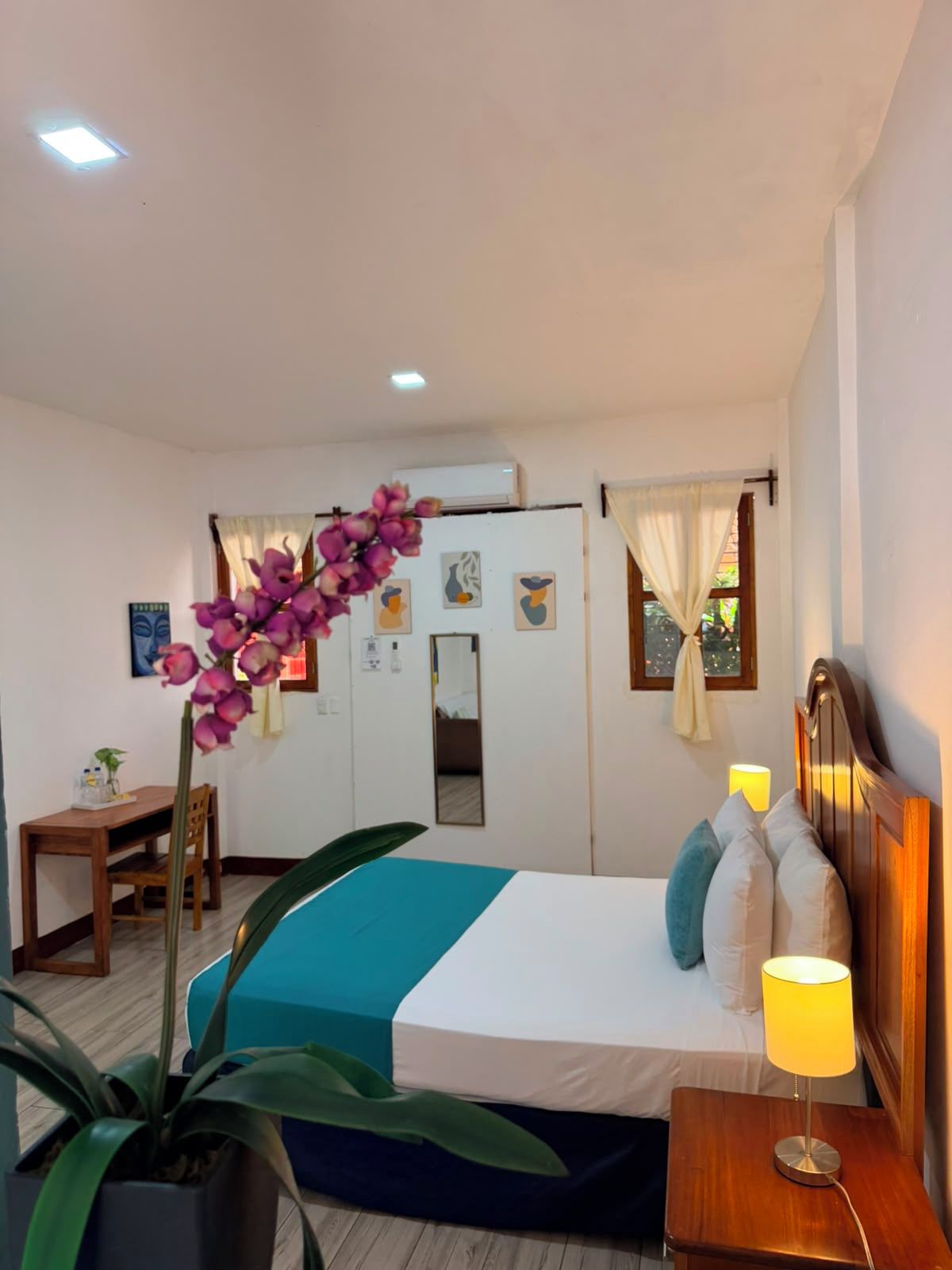A hotel room with a bed, bedside table, lamp, potted plant, and a window with curtains.