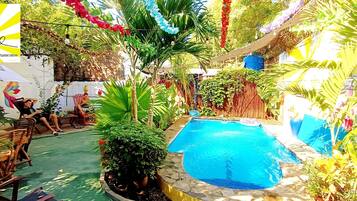 A pool area with a stone border, surrounded by lush greenery and potted plants.