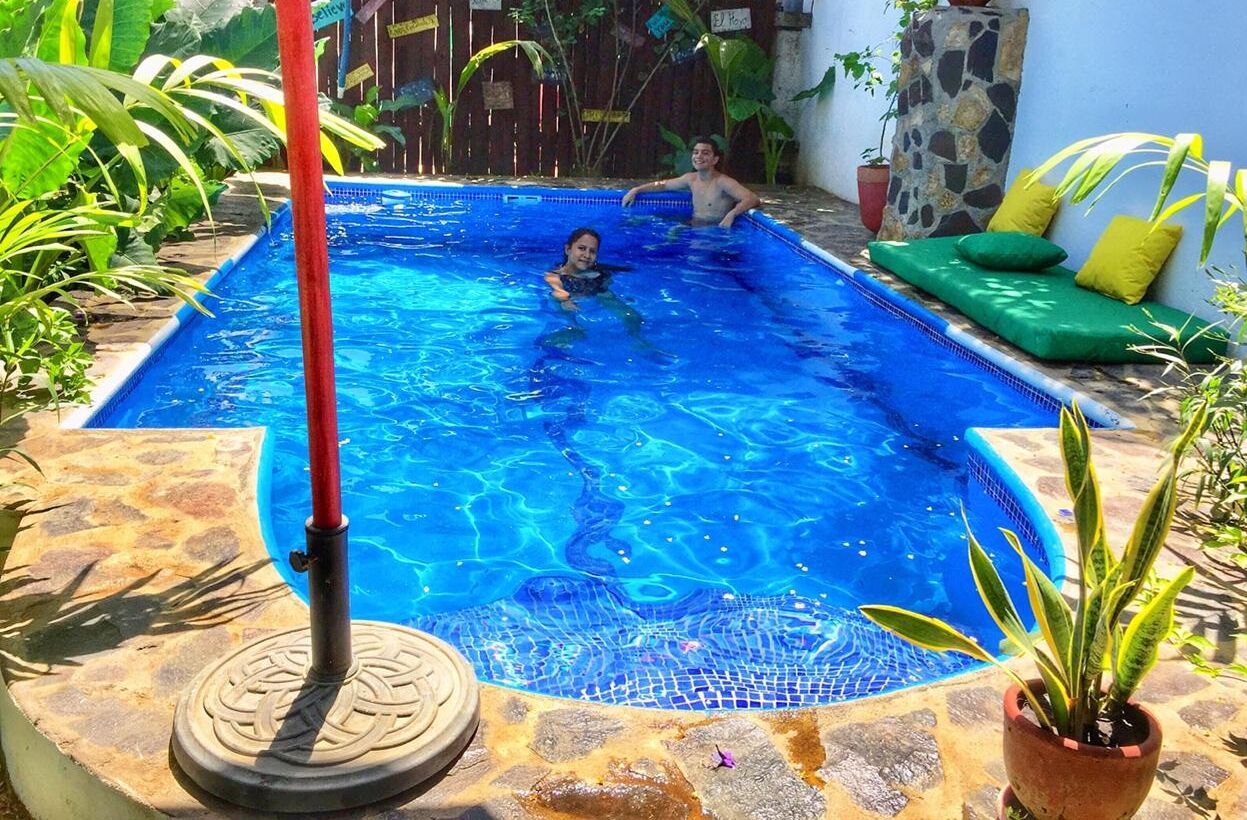 A swimming pool with a stone border, surrounded by potted plants and a green sofa.
