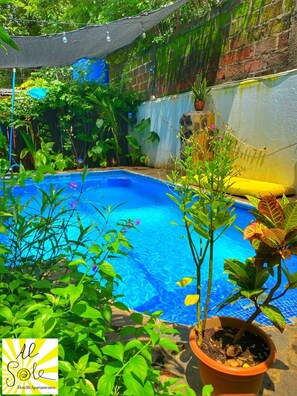 Una piscina rodeada de exuberante vegetación y un muro de ladrillo.